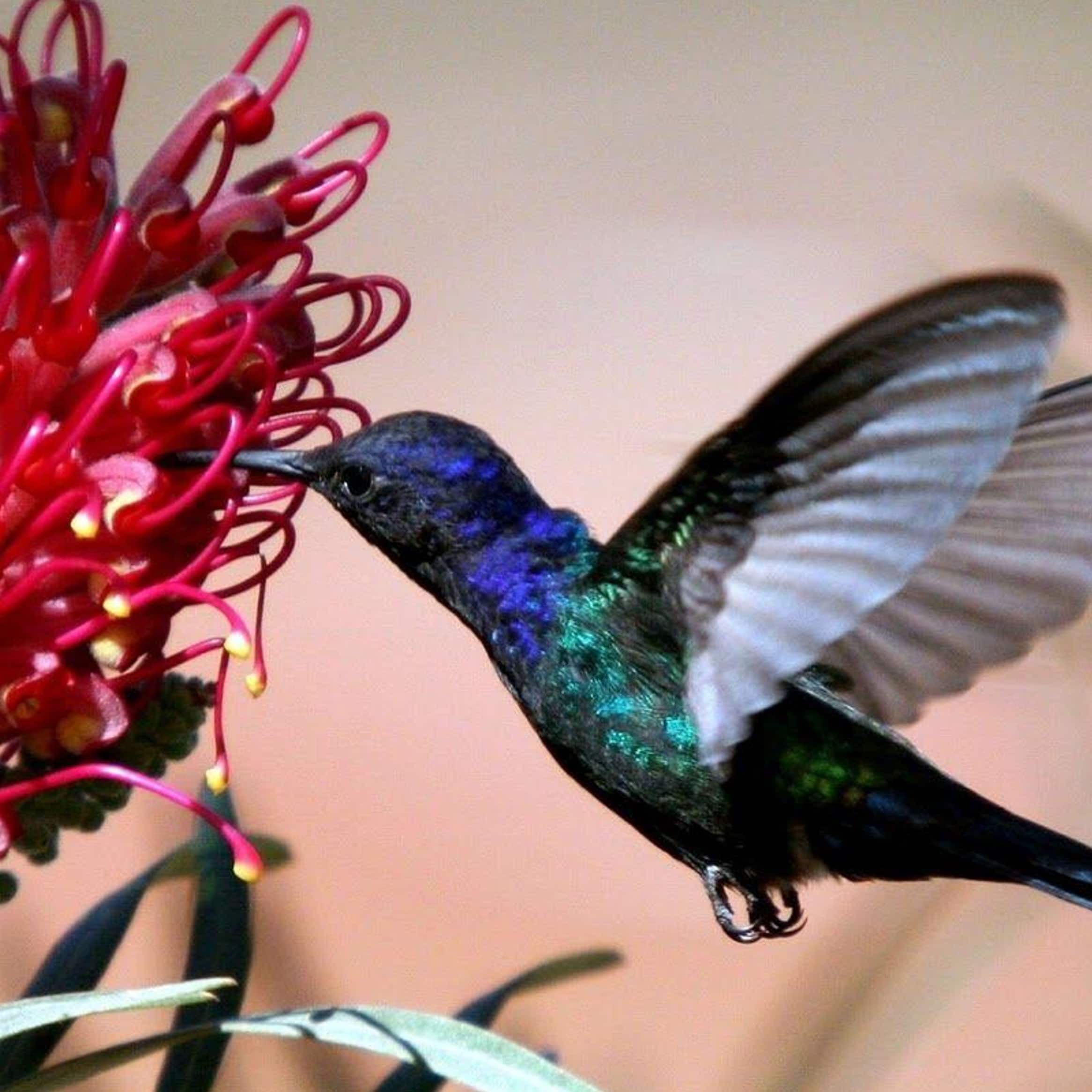 ਵਾਤਾਵਰਣ ਮਾਮਲੇ 20002